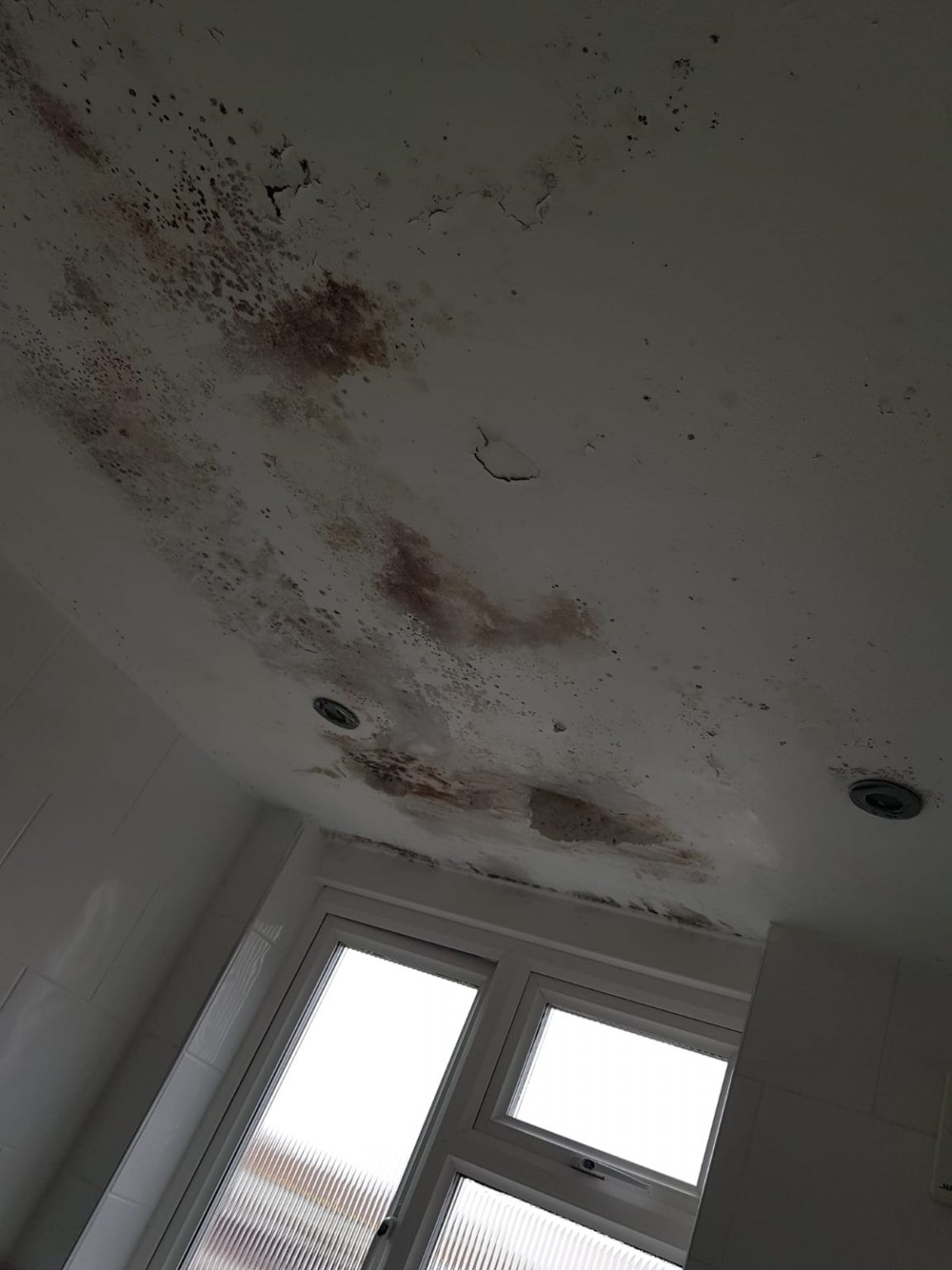 House Refurbishment in Hampstead