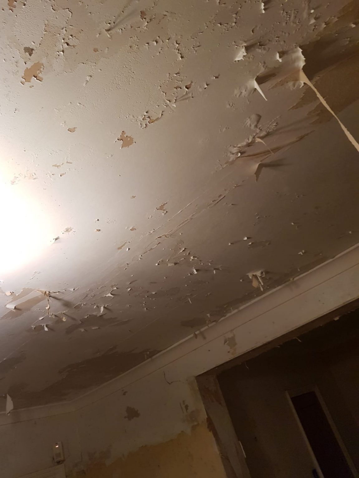 Decorating Hampstead